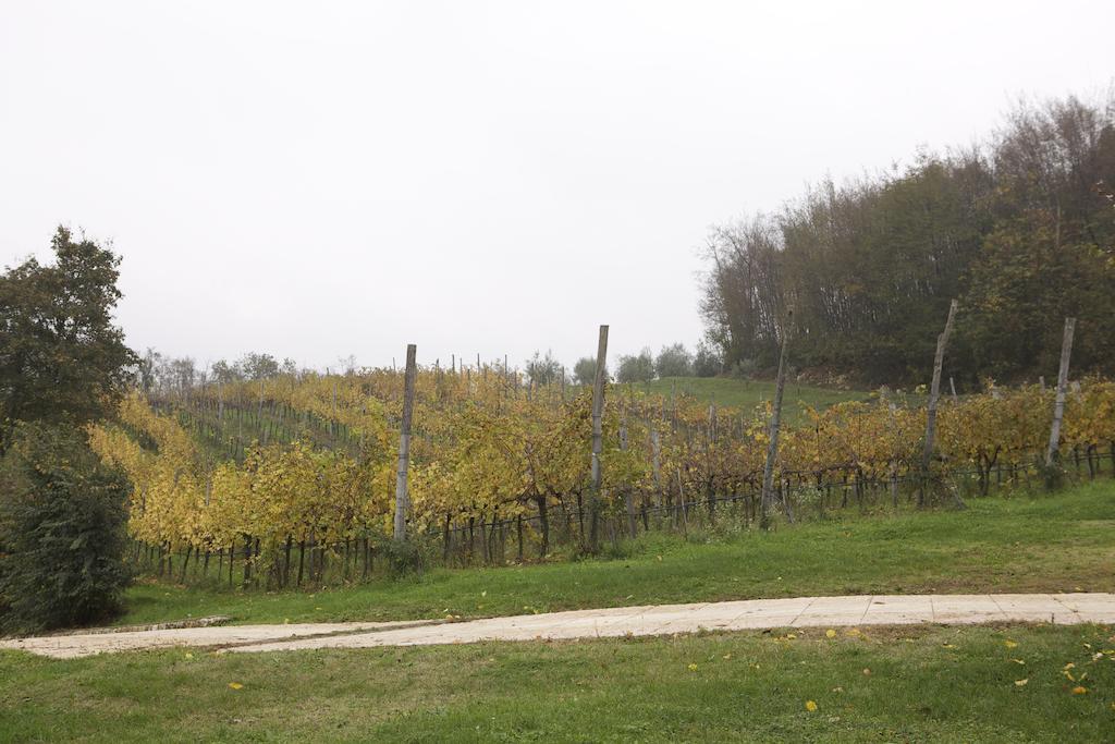 Agriturismo Marani Arcugnano Екстериор снимка