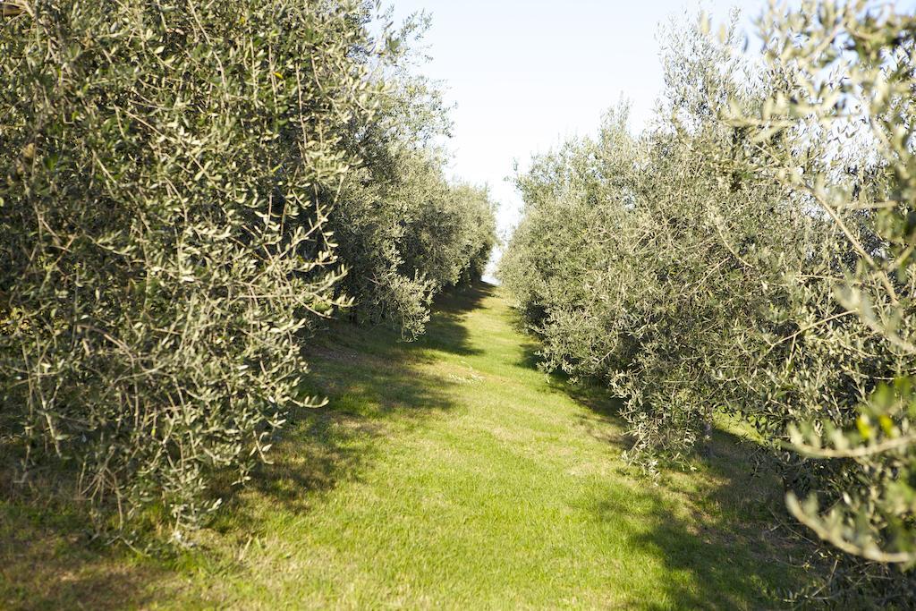 Agriturismo Marani Arcugnano Екстериор снимка